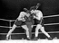 Марсель Сердан на ринге, 1947 г.